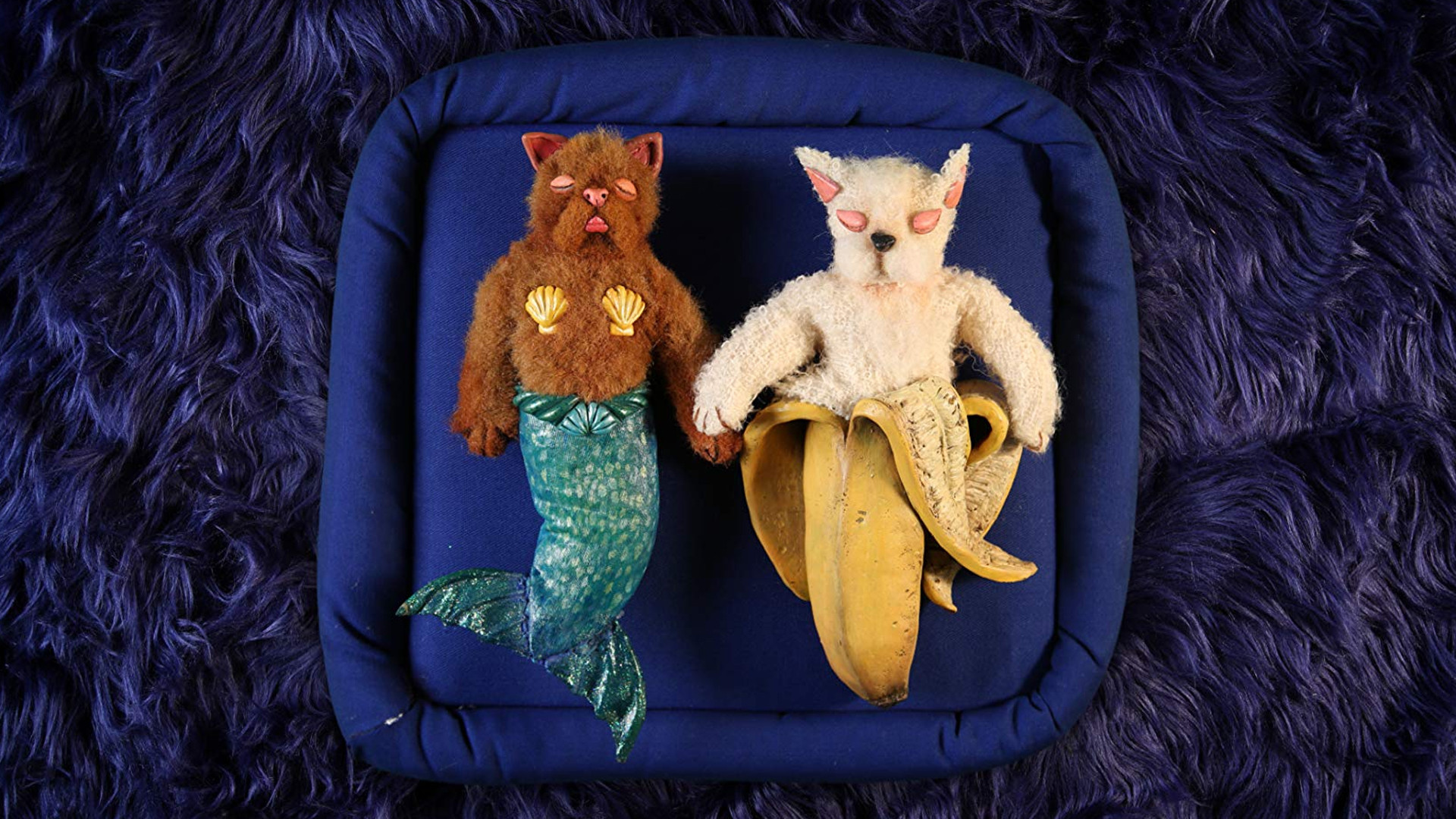 Backdrop for Under Covers