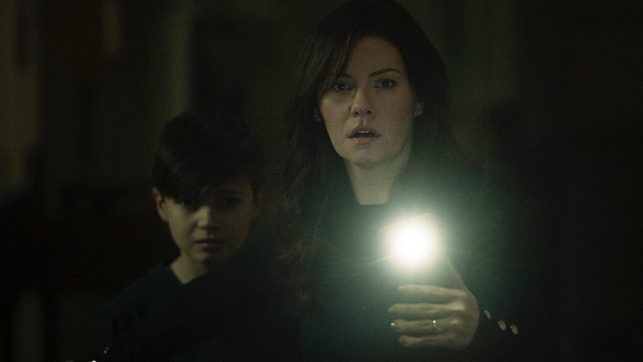 Backdrop for The Cellar