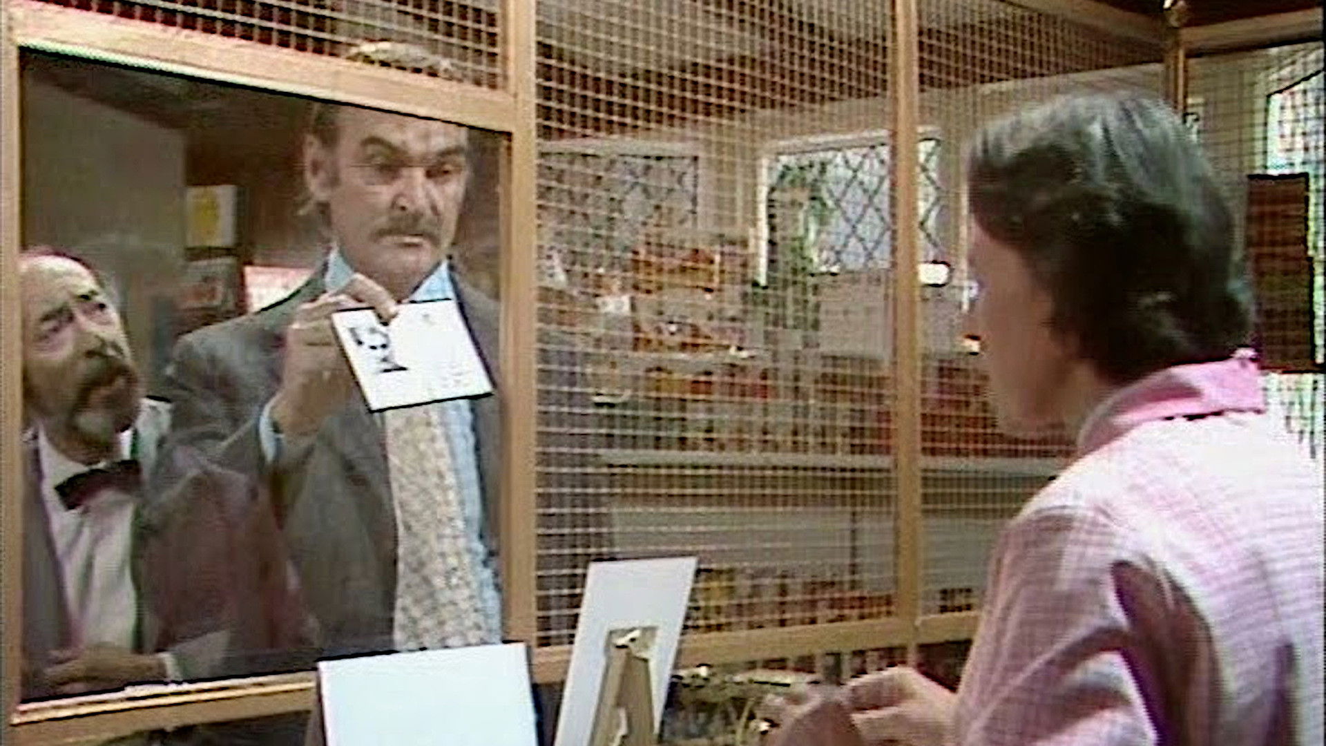 Backdrop for Who Killed Lamb?