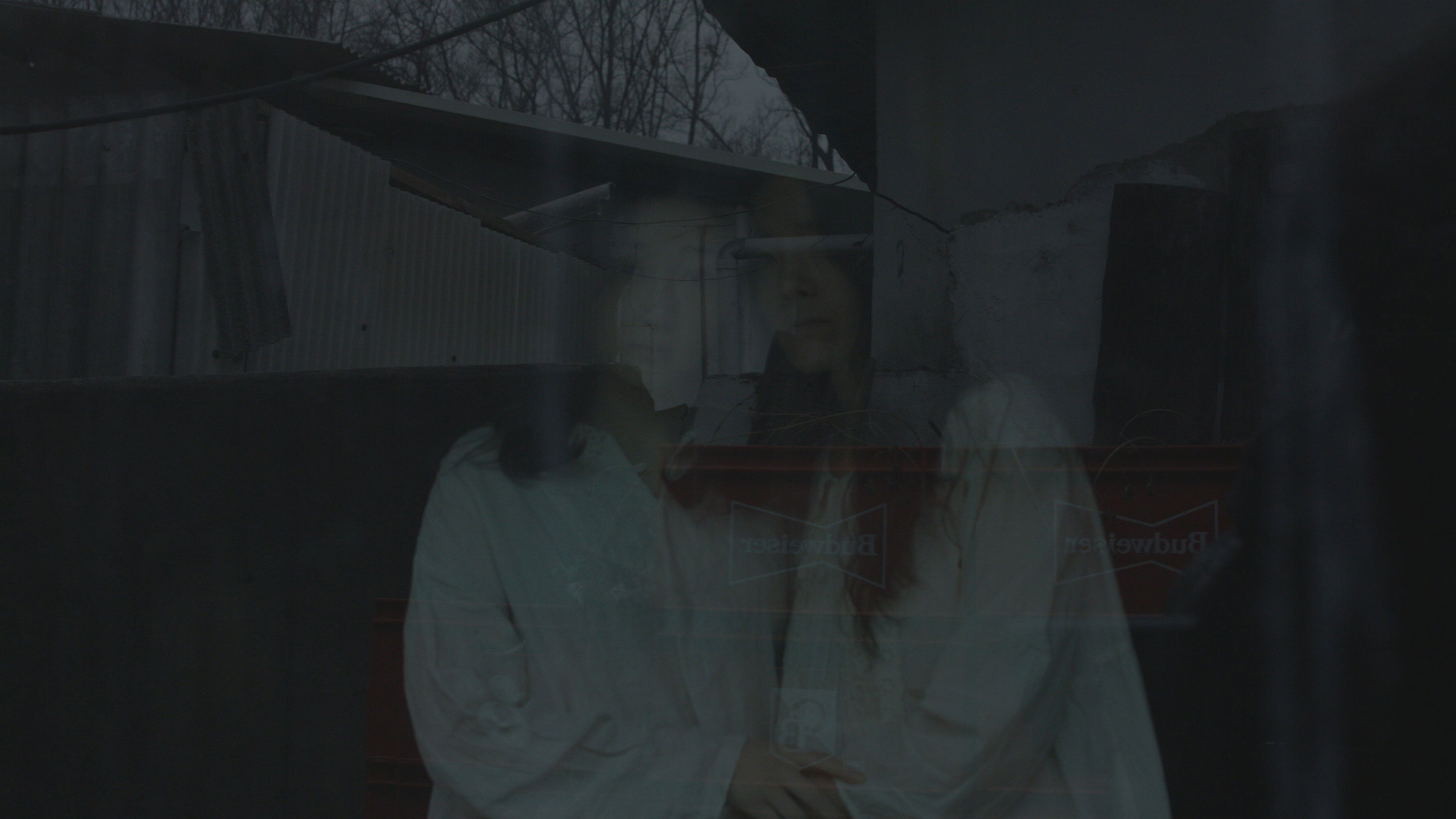 Backdrop for The Pregnant Tree and the Goblin