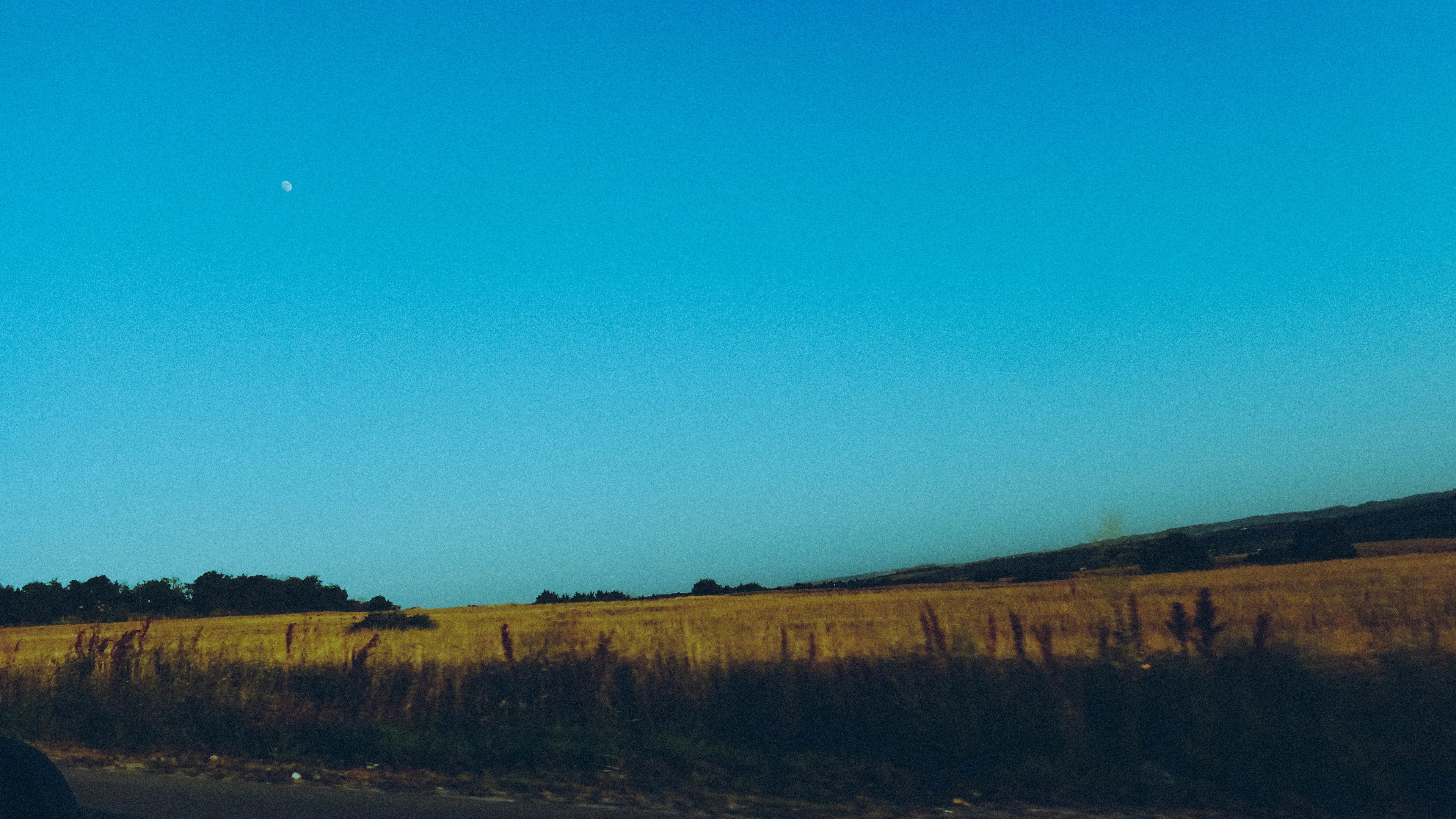 Backdrop for Moongazer's Moonlight Reverie