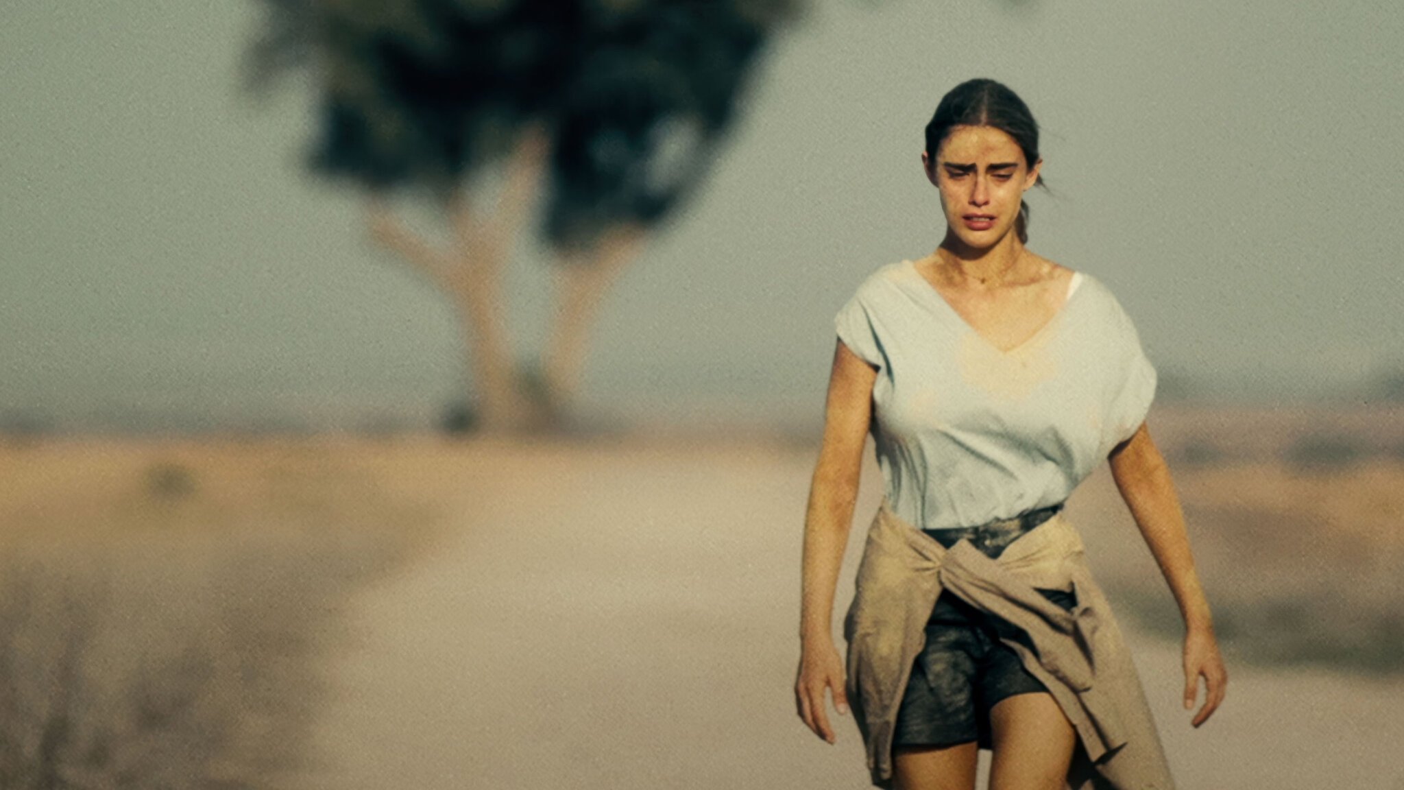 Backdrop for Kissufim