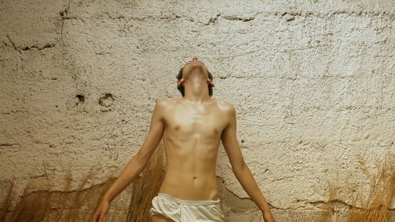 Backdrop for The Nest