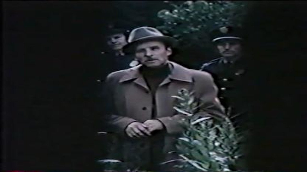 Backdrop for Boomerang