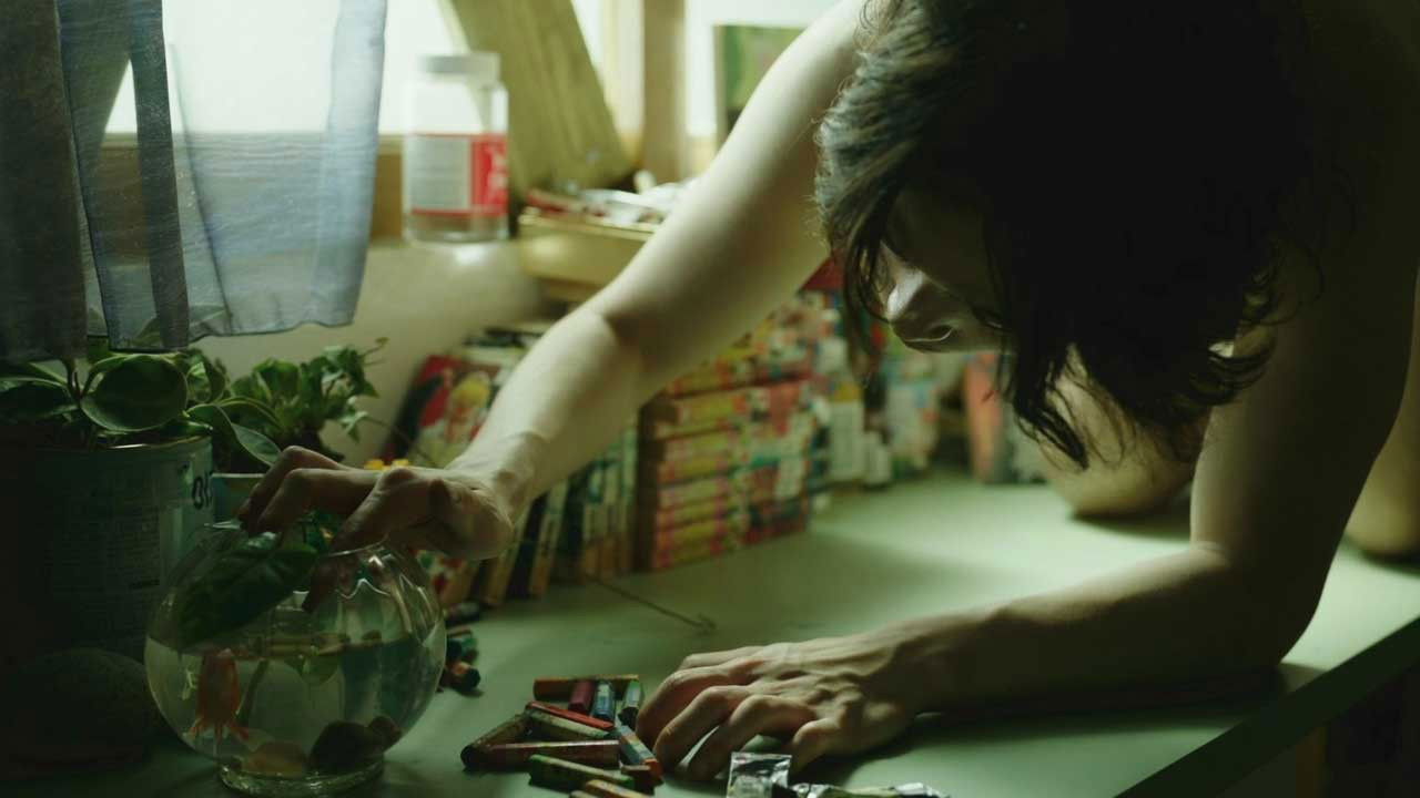 Backdrop for The Island