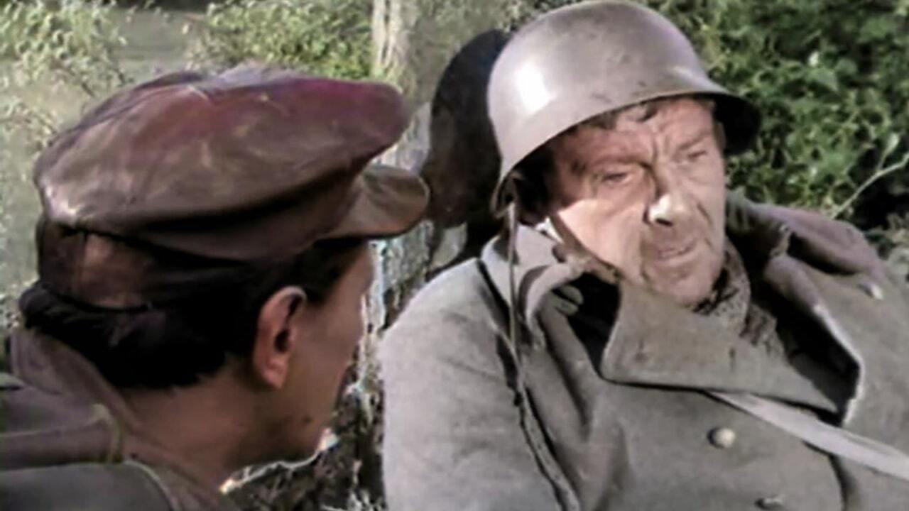 Backdrop for Cat Under a Helmet