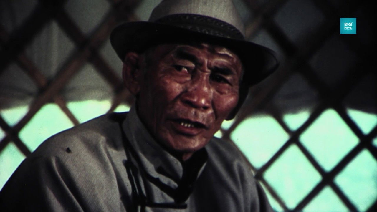 Backdrop for Palm trees are green in Winter