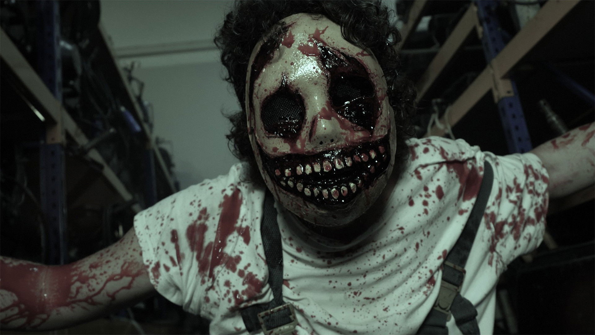 Backdrop for The Muppet-Face