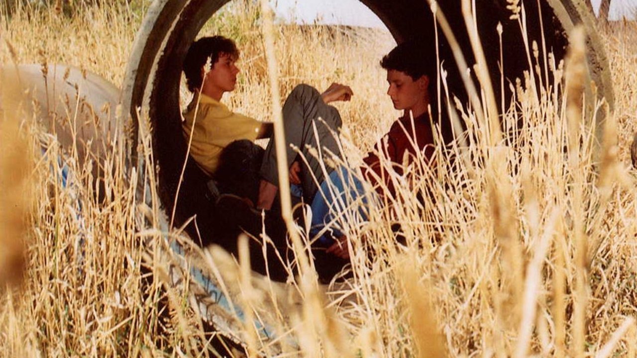 Backdrop for Oranges