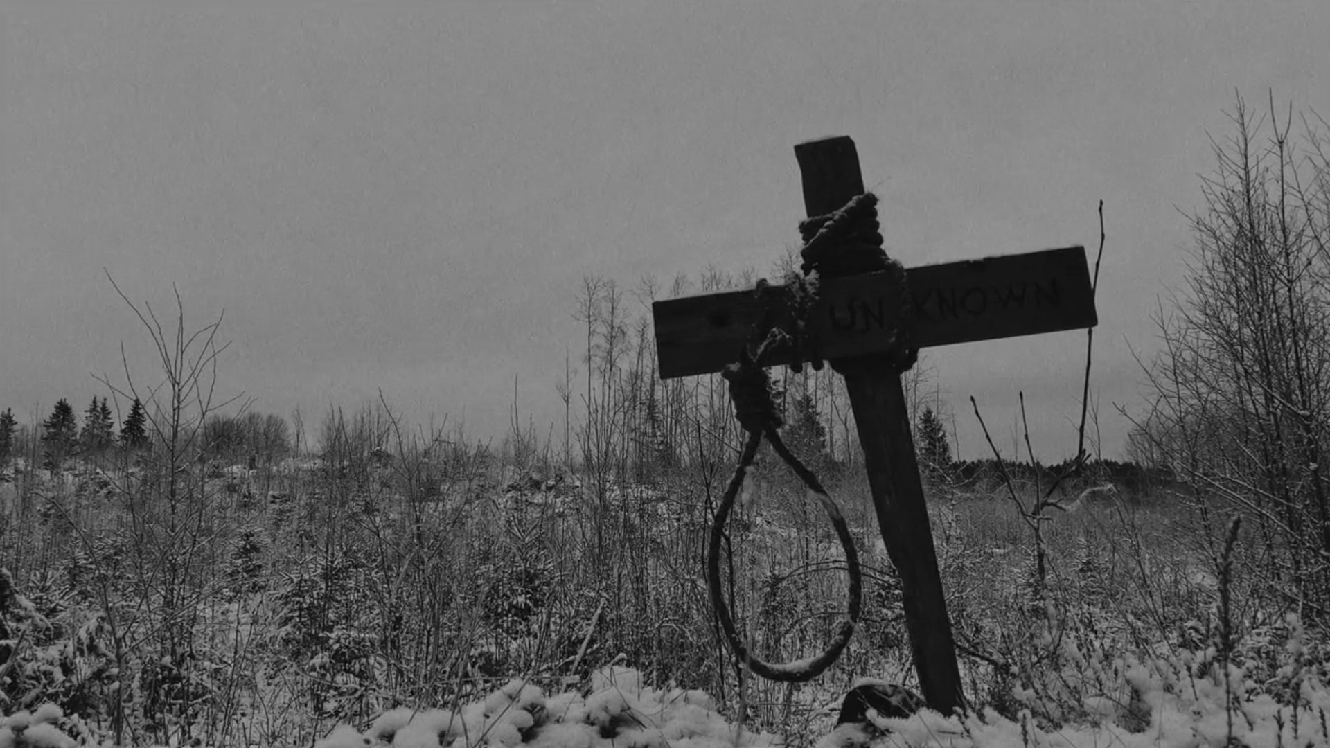 Backdrop for The Apartment 72