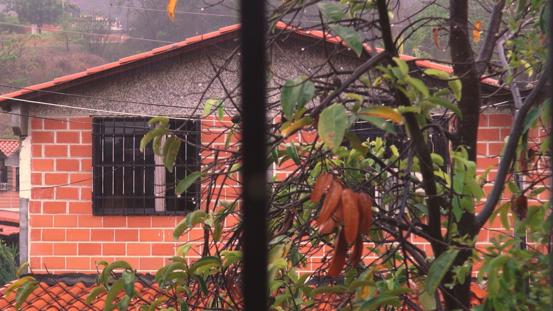 Backdrop for Esta casa ya no nos alberga