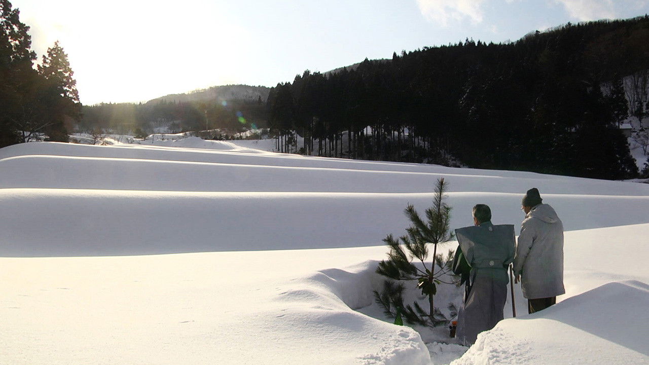 Backdrop for The Genealogy of Sake