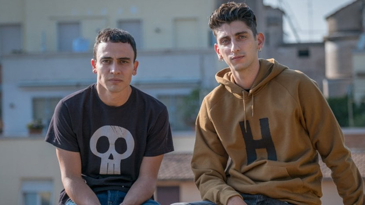 Backdrop for The Armadillo's Prophecy