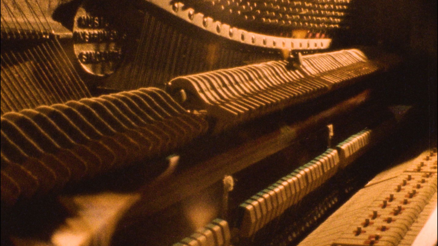 Backdrop for Nocturne