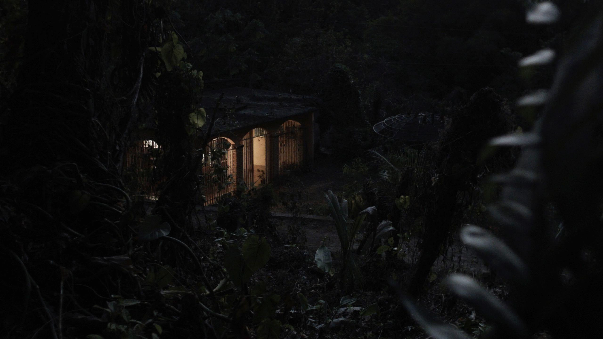 Backdrop for Night Detour