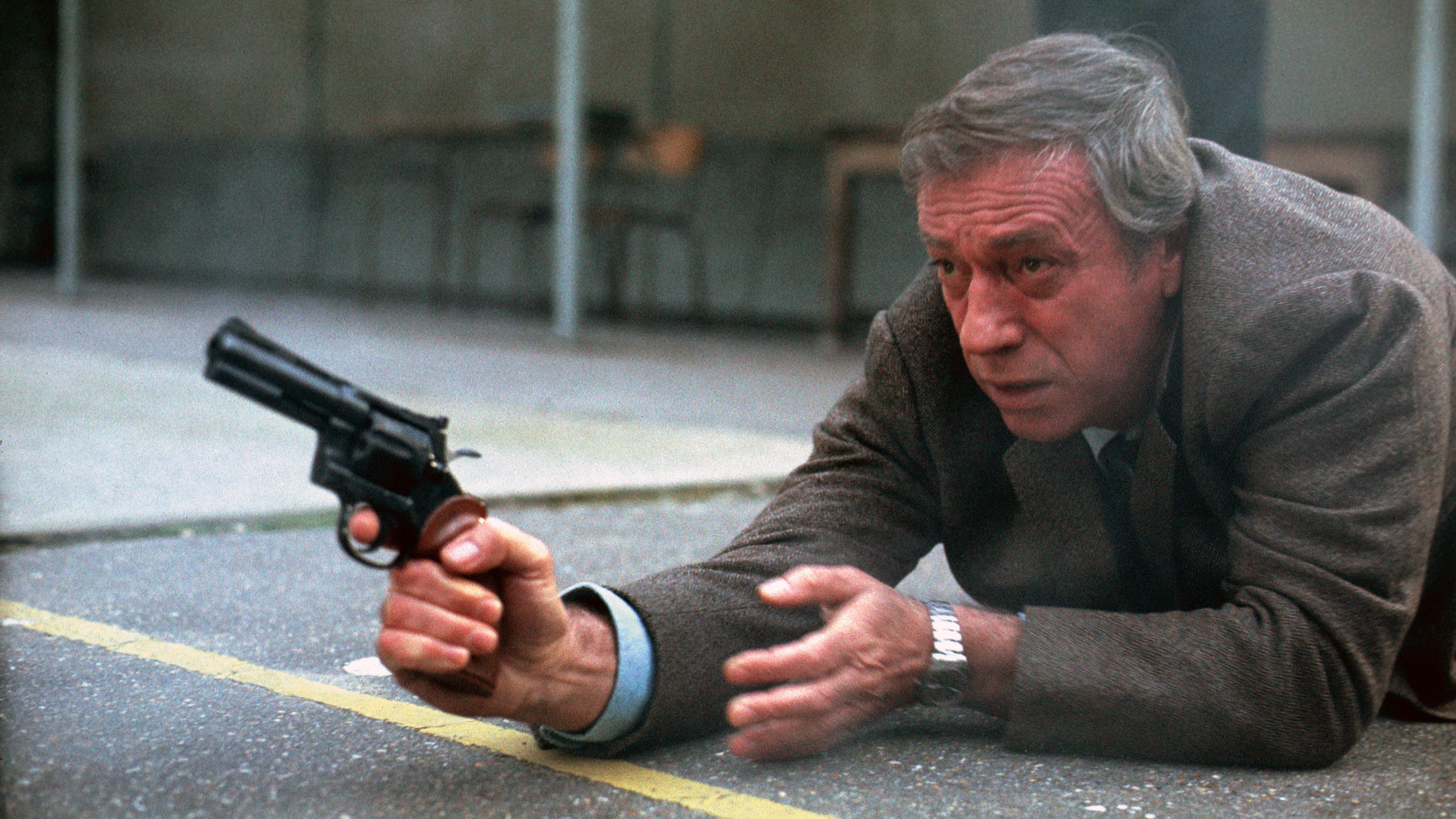 Backdrop for Police Python 357