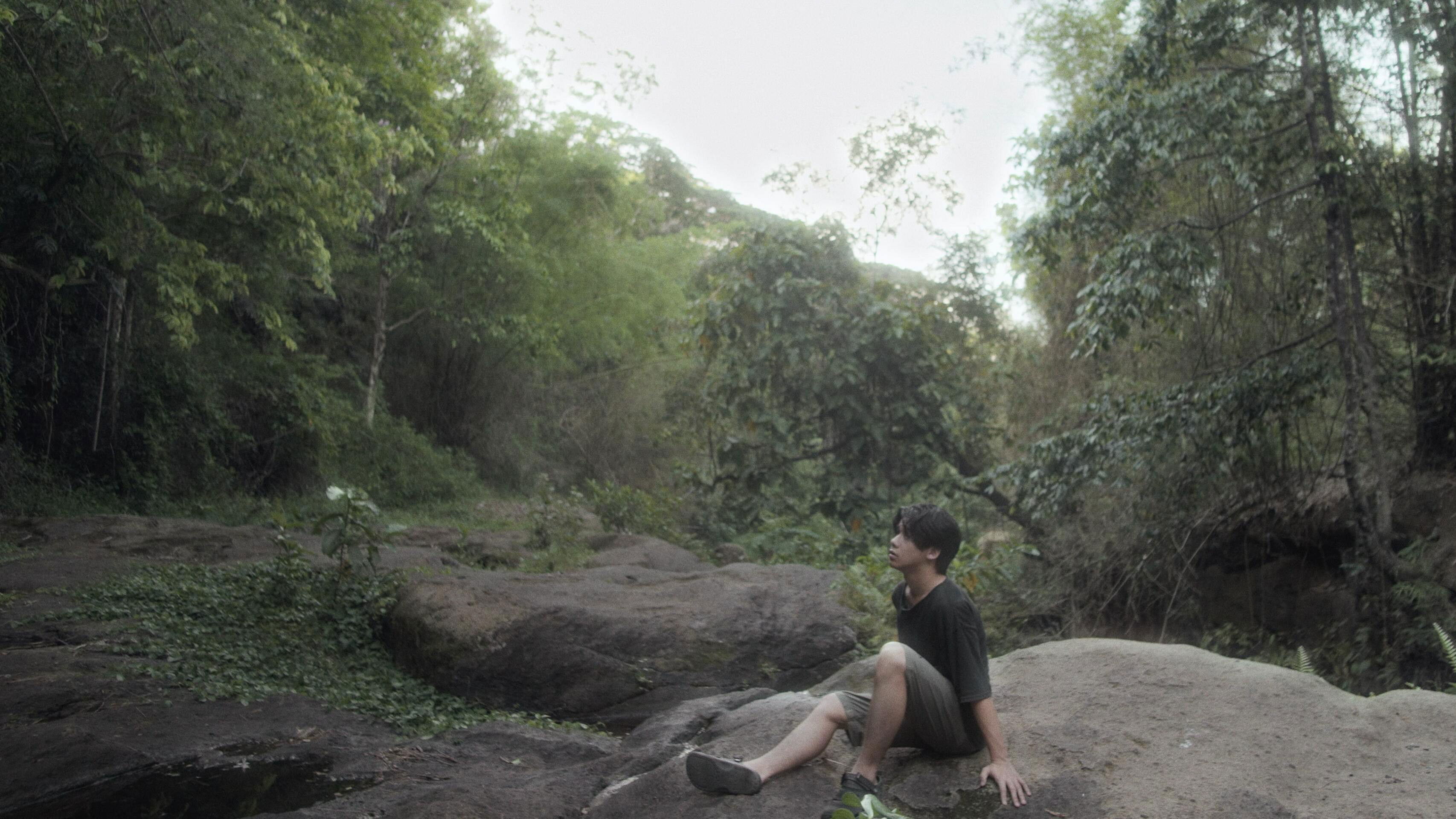 Backdrop for Route 406