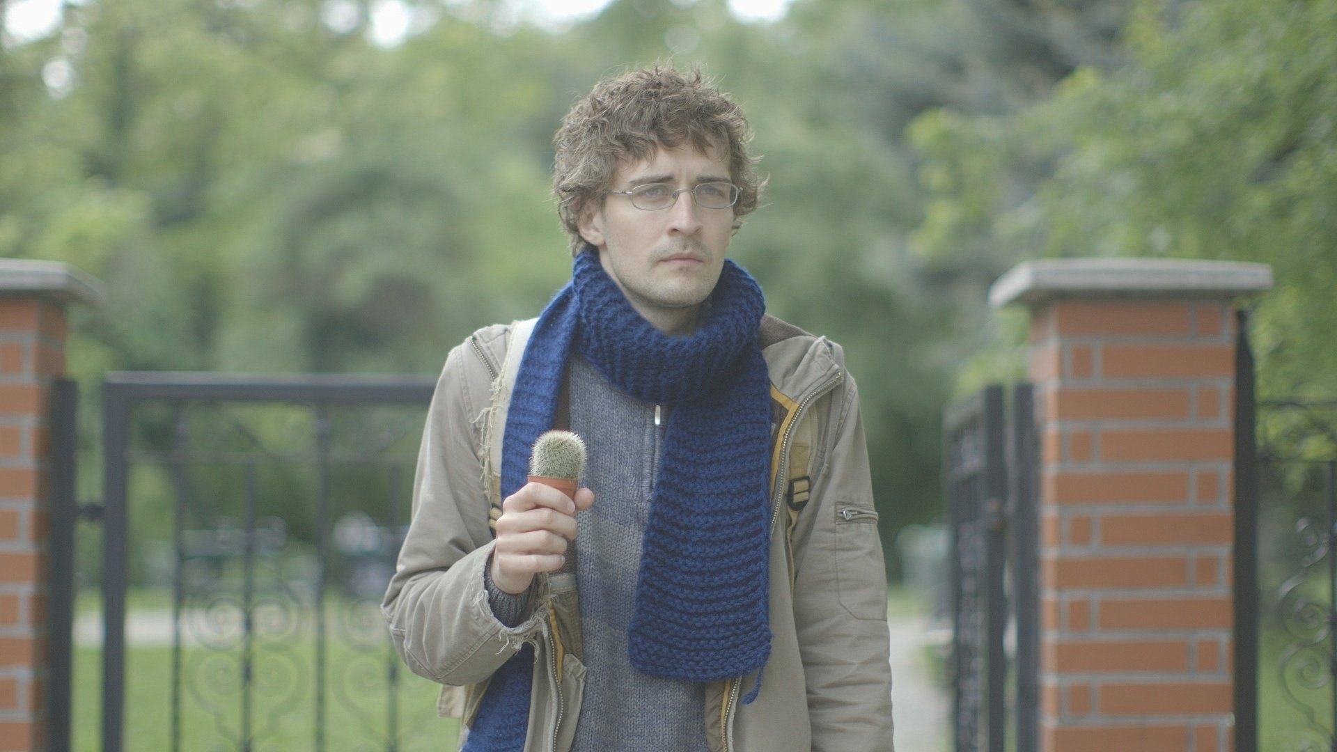 Backdrop for For Some Inexplicable Reason