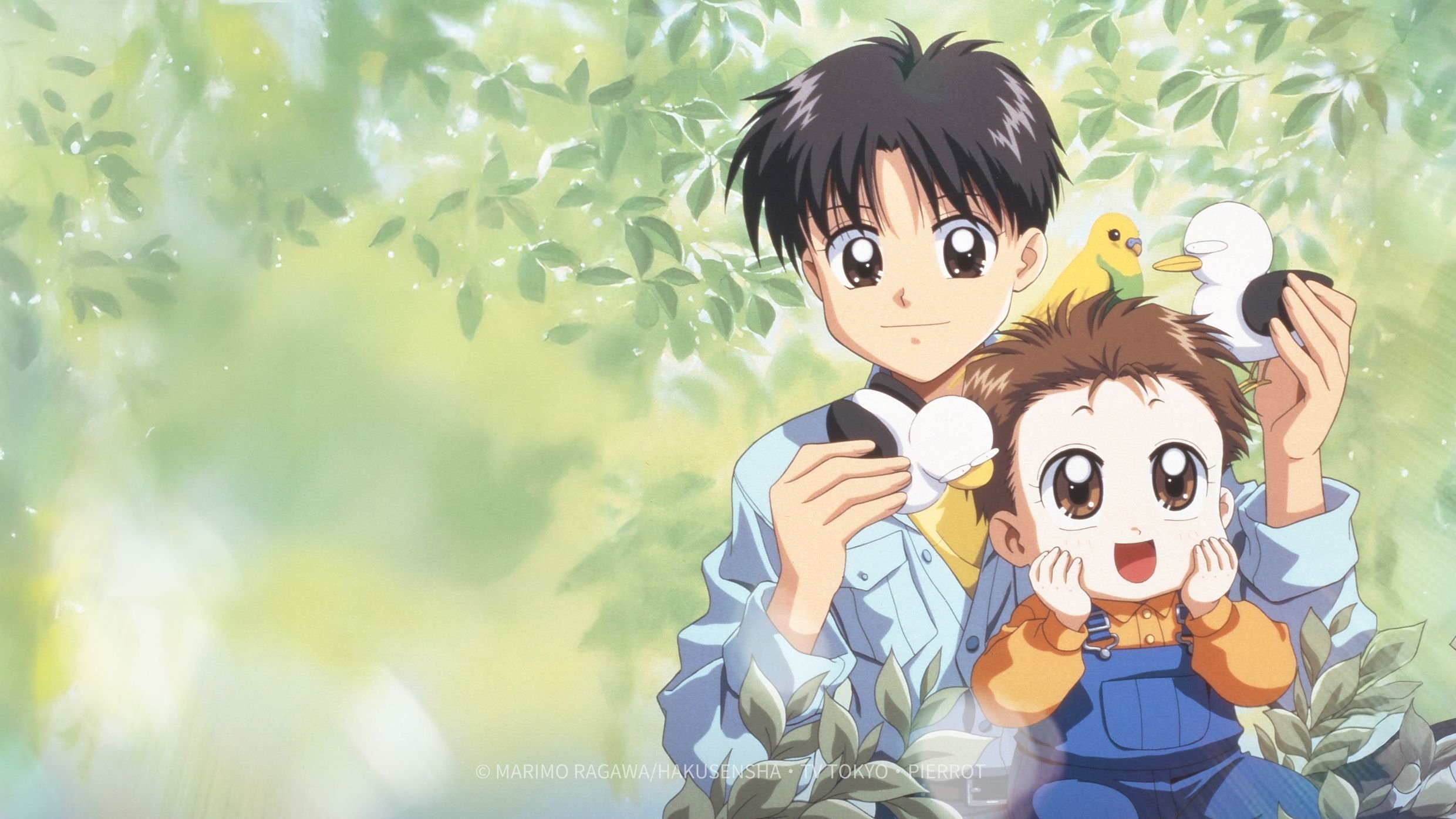 Backdrop for Baby and Me