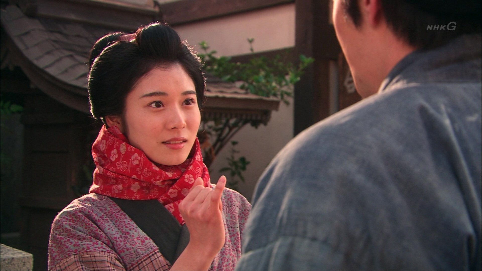 Backdrop for Ginnikan