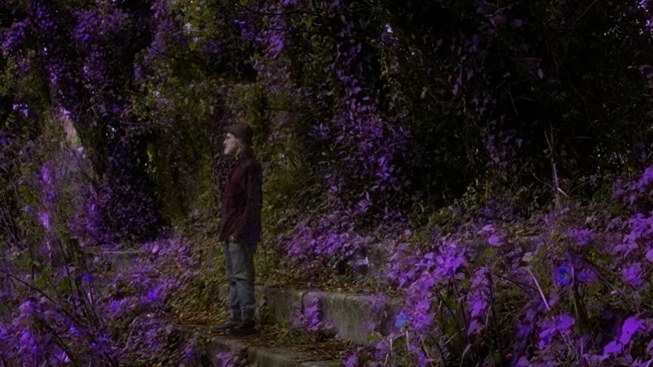 Backdrop for Ultraviolet