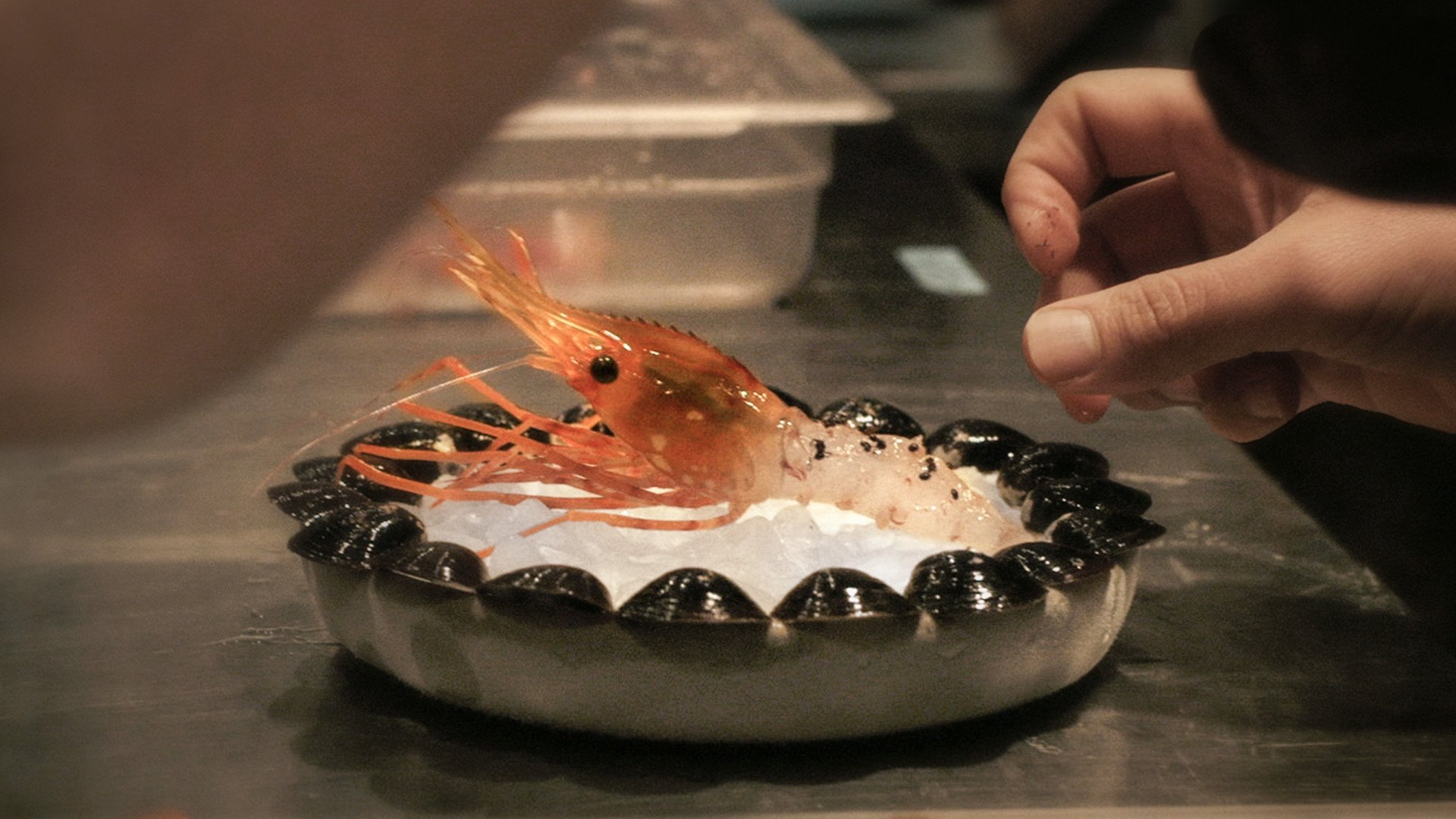 Backdrop for Ants on a Shrimp