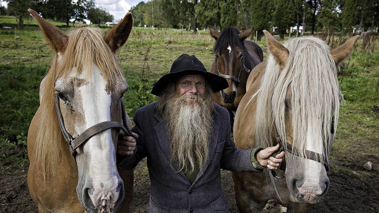 Backdrop for Hästmannen – sista striden