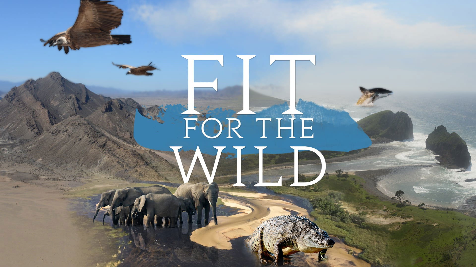 Backdrop for Fit for the Wild