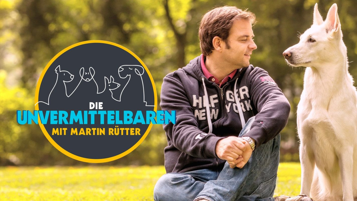 Backdrop for Die Unvermittelbaren - mit Martin Rütter