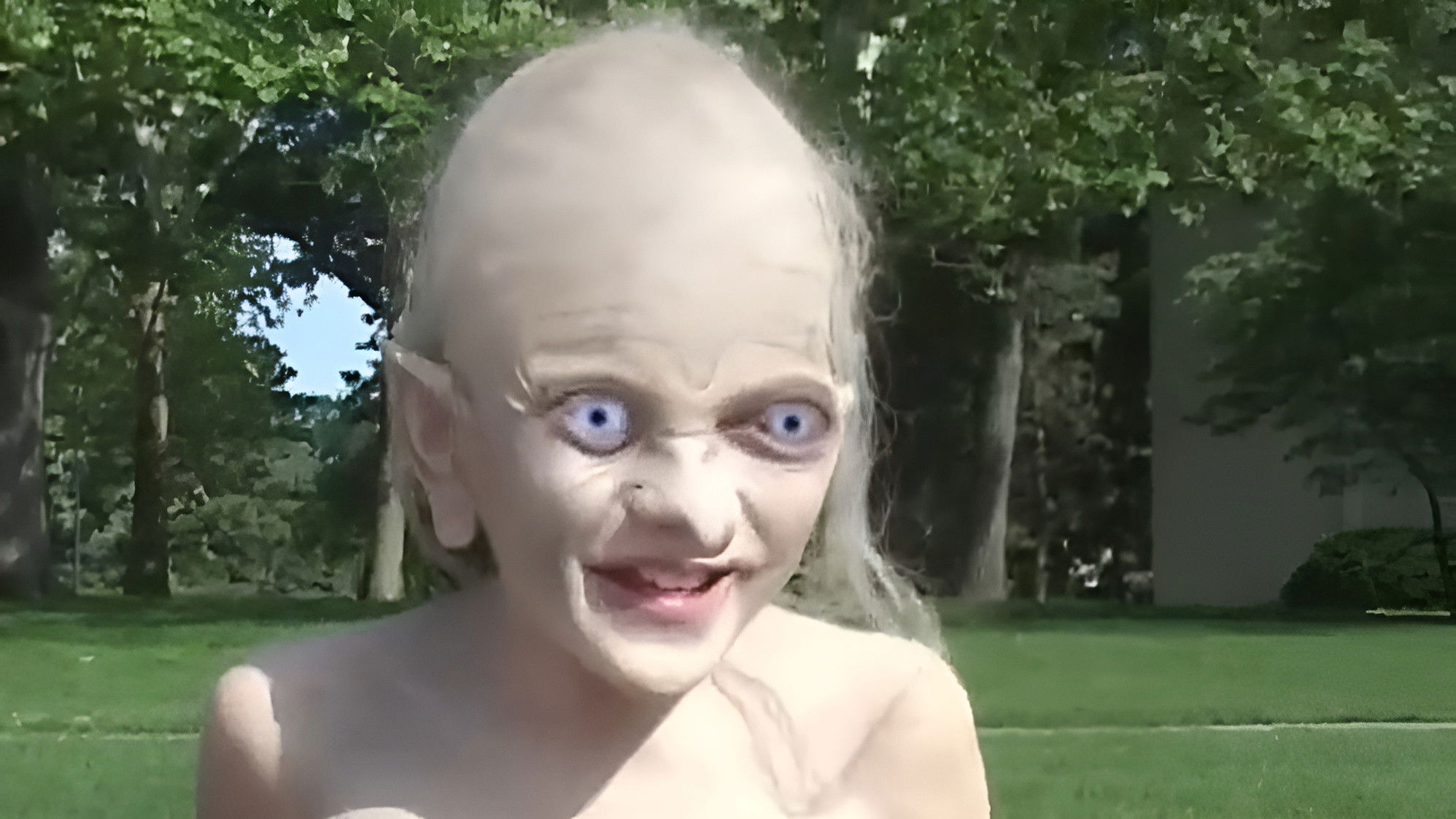 Backdrop for The Lord of the Libraries: The Return of the Book