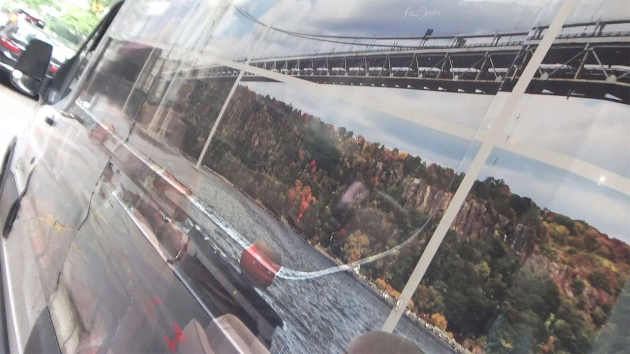 Backdrop for Foliage in Moving Car Window