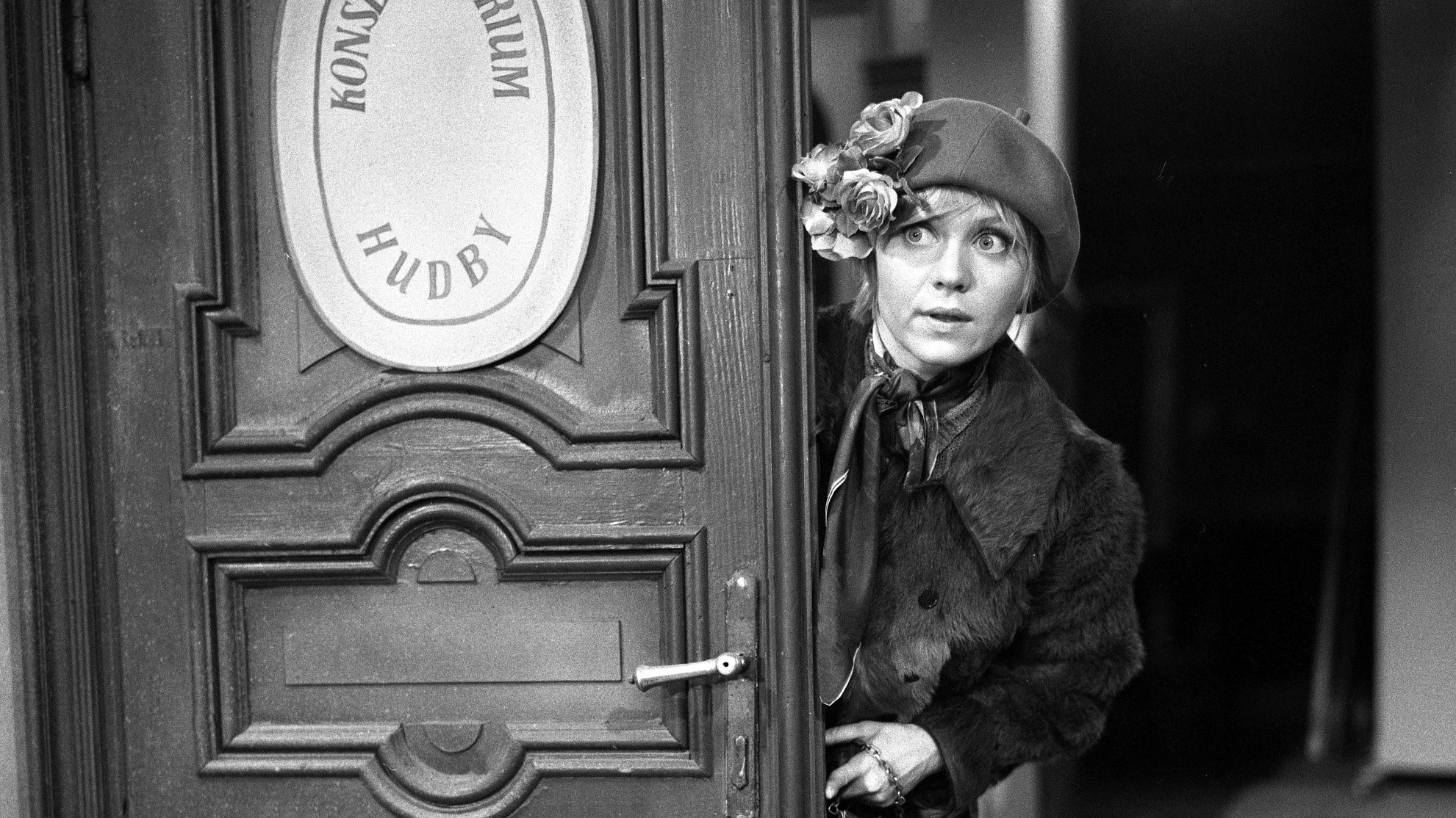 Backdrop for Josefina