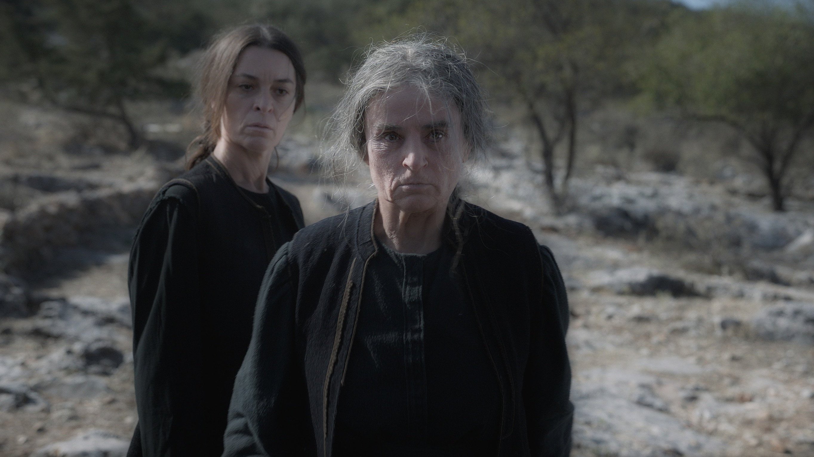 Backdrop for Fonissa