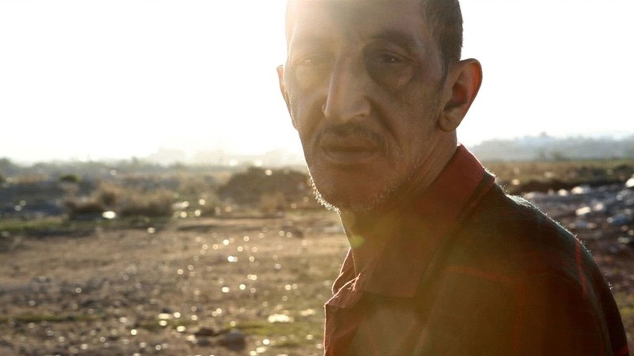 Backdrop for They Are The Dogs