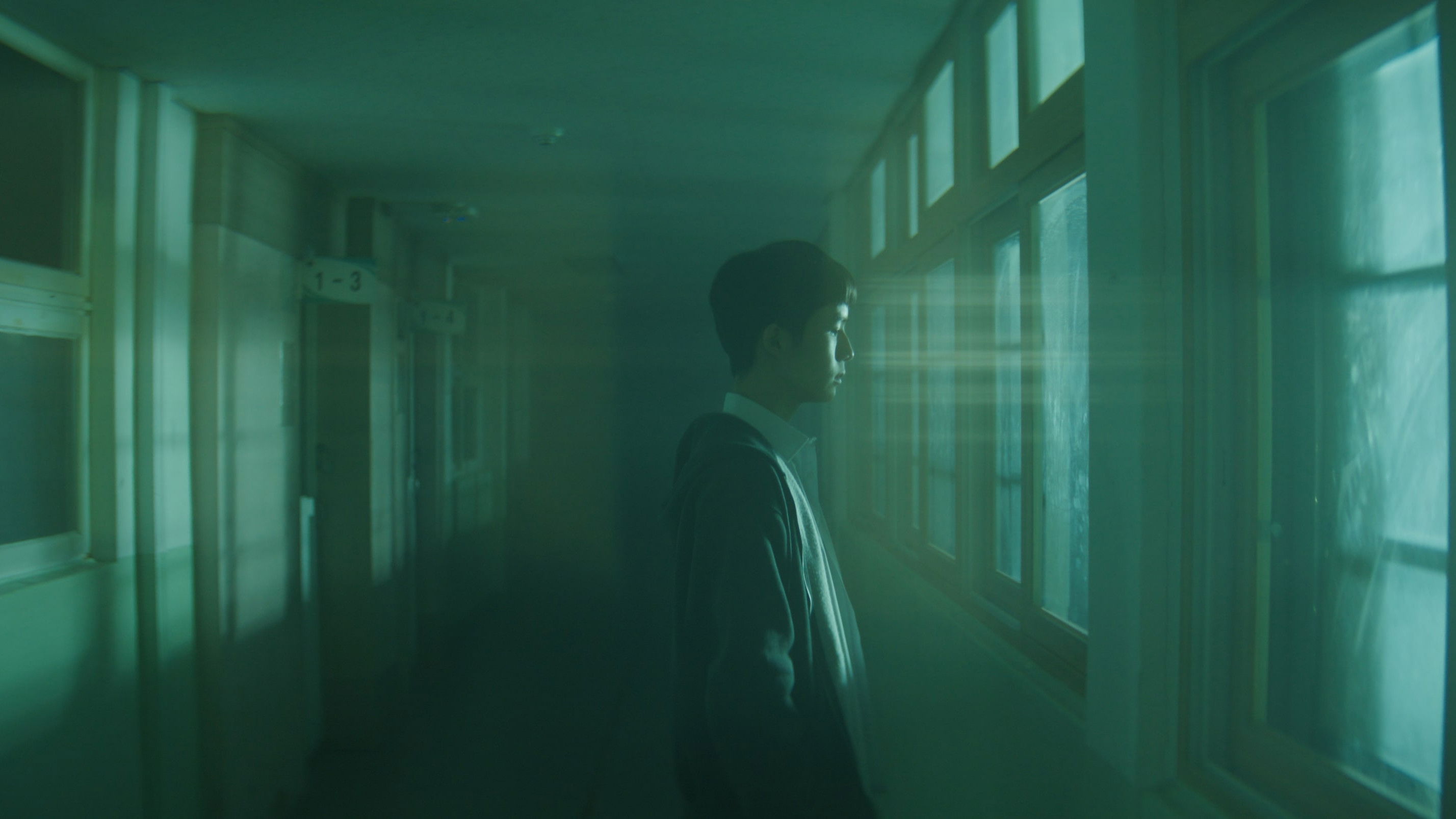 Backdrop for The Accordion Door