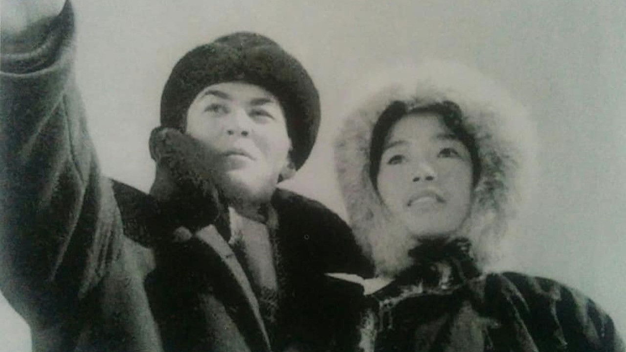 Backdrop for Echoes from Numrug Rock