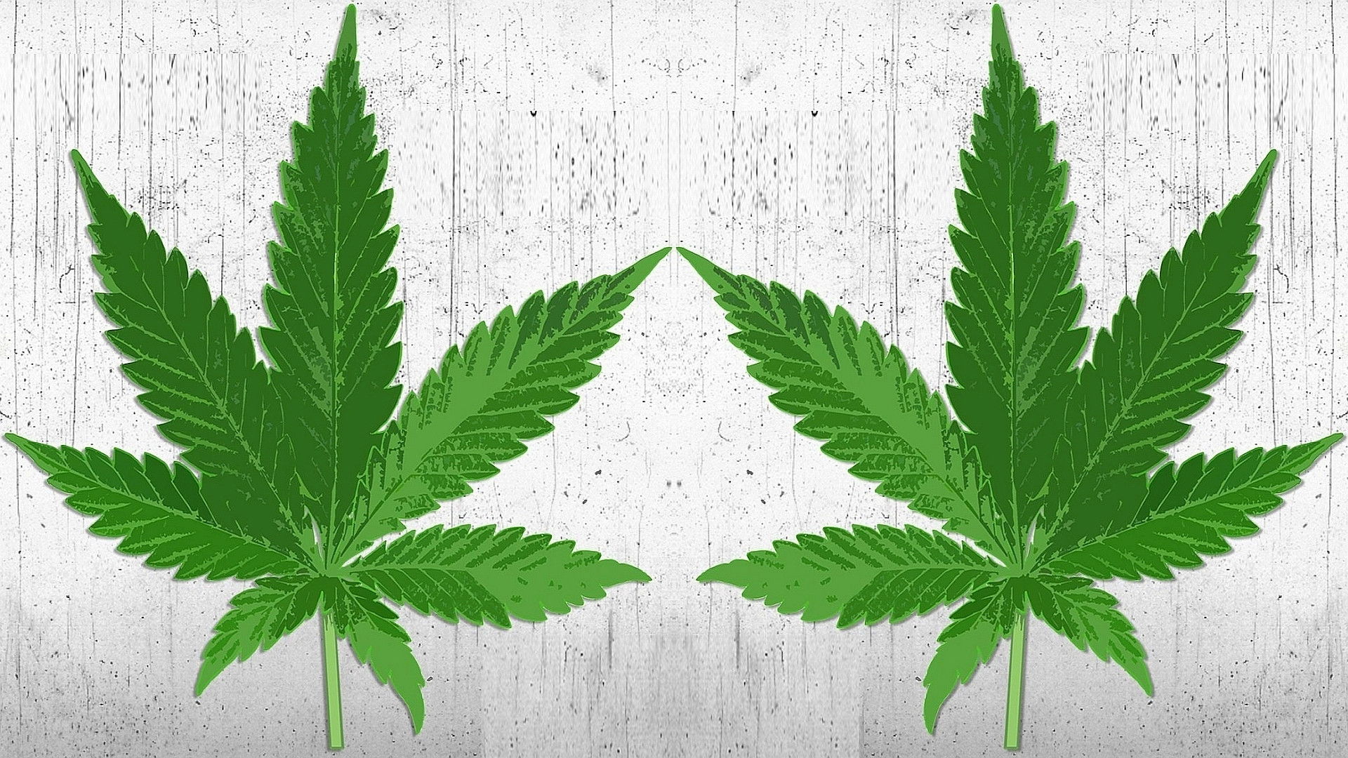 Backdrop for High There