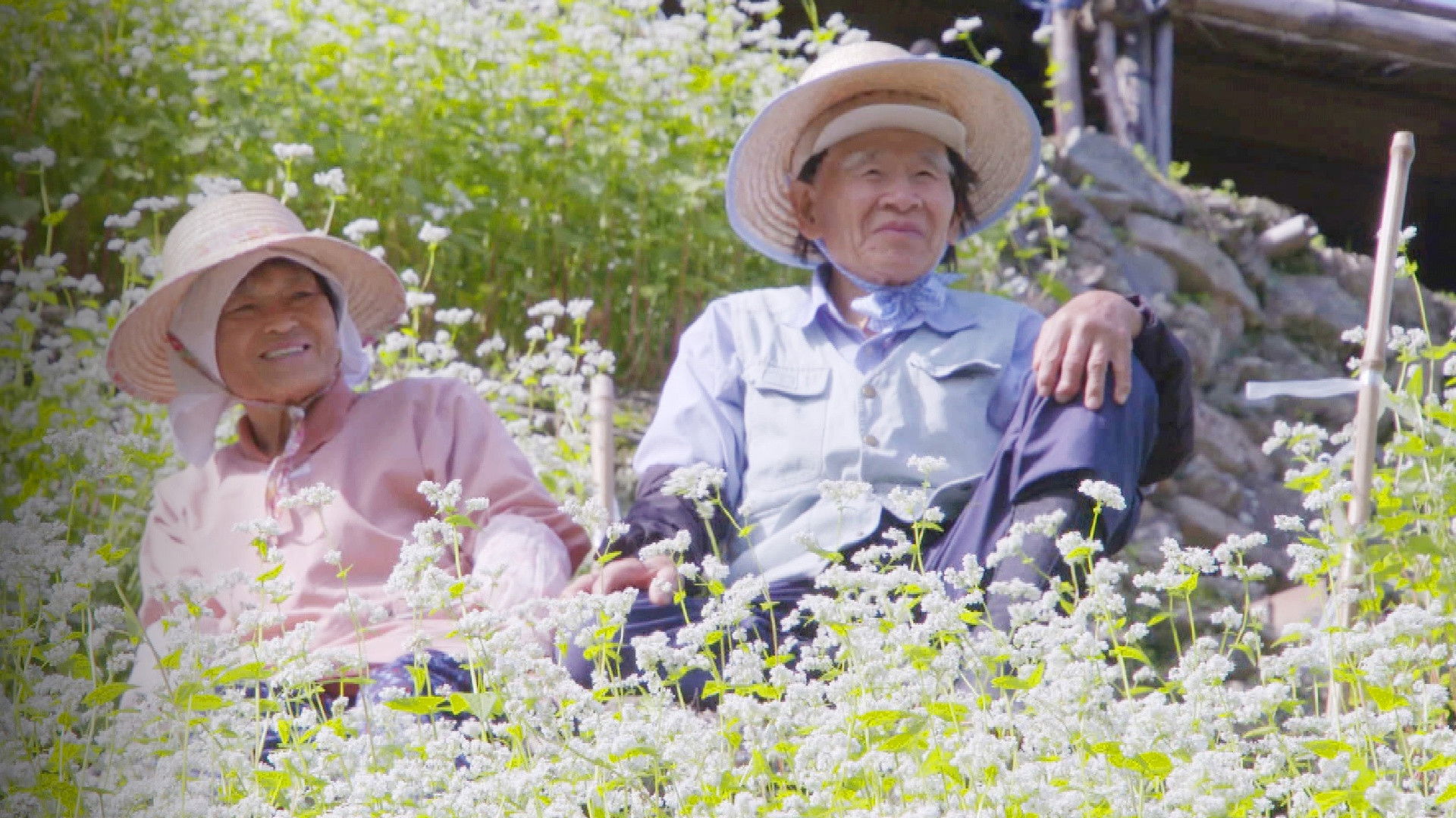 Backdrop for Hometown Stories