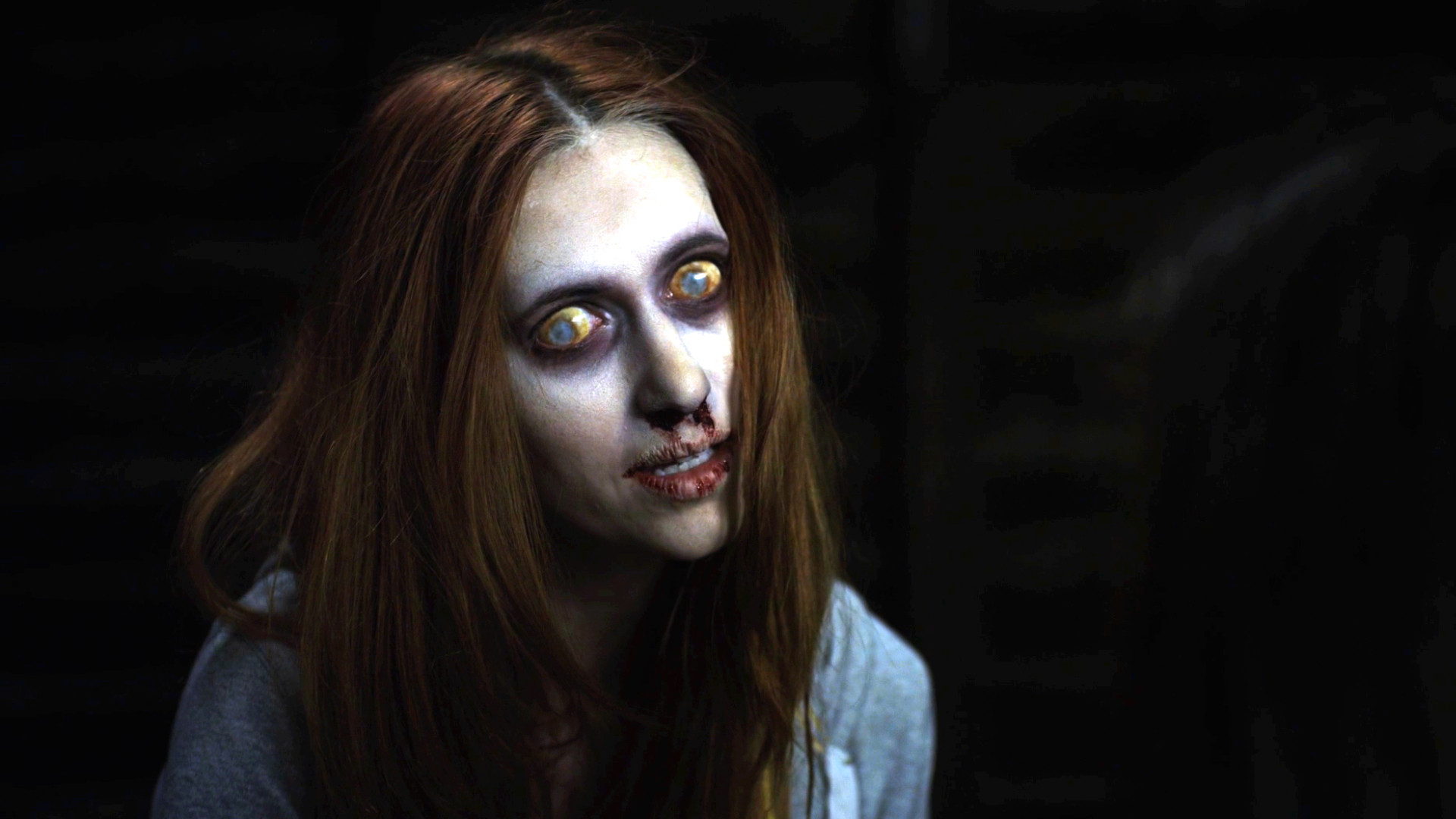 Backdrop for The Haunting of Whaley House