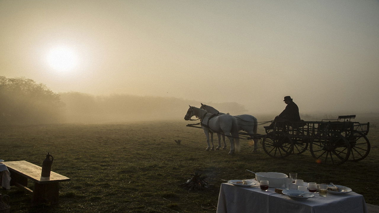 Backdrop for A fekete bojtár