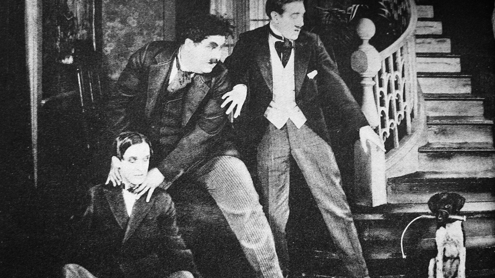 Backdrop for The Lucky Dog