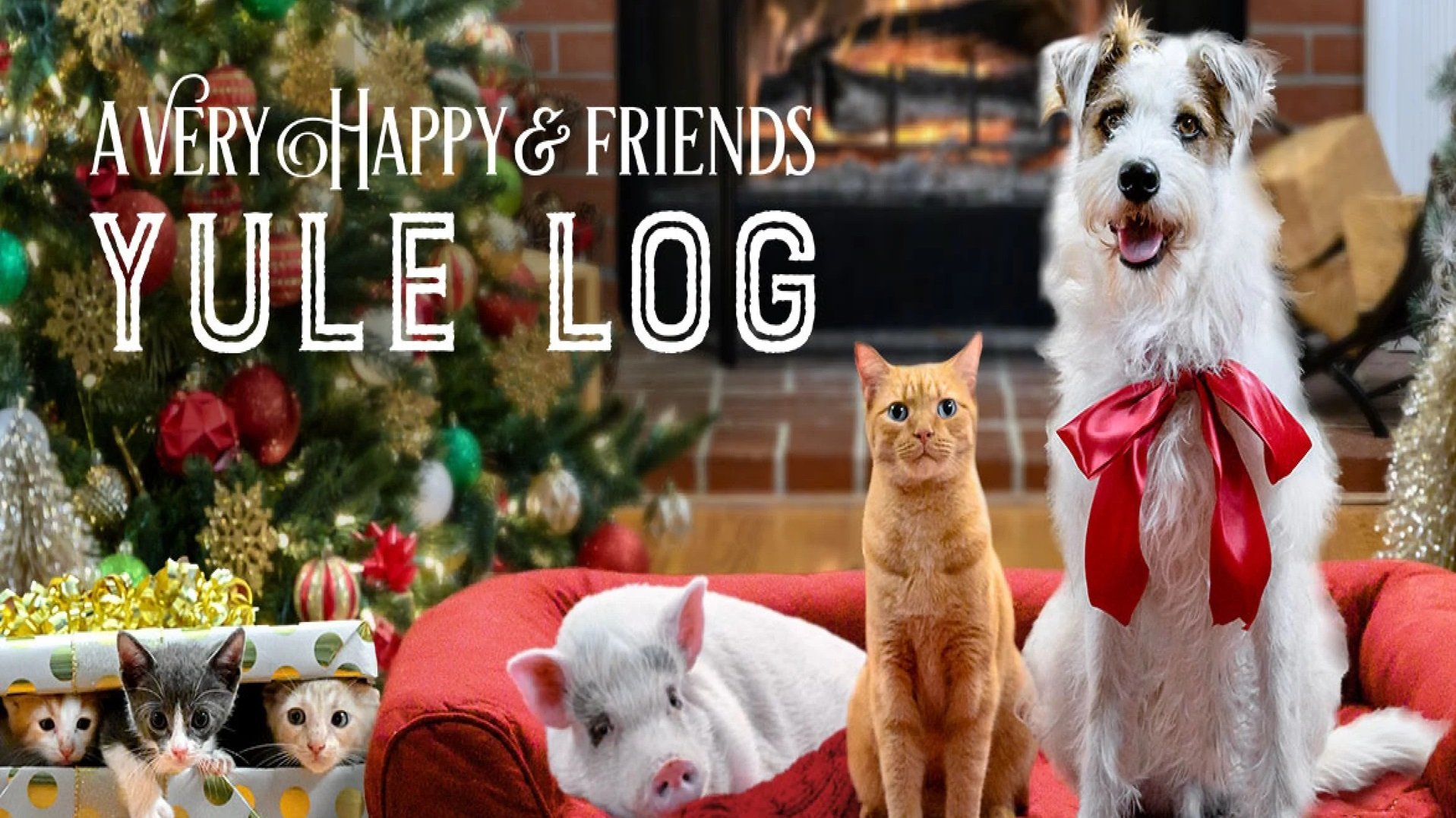 Backdrop for A Very Happy & Friends Yule Log