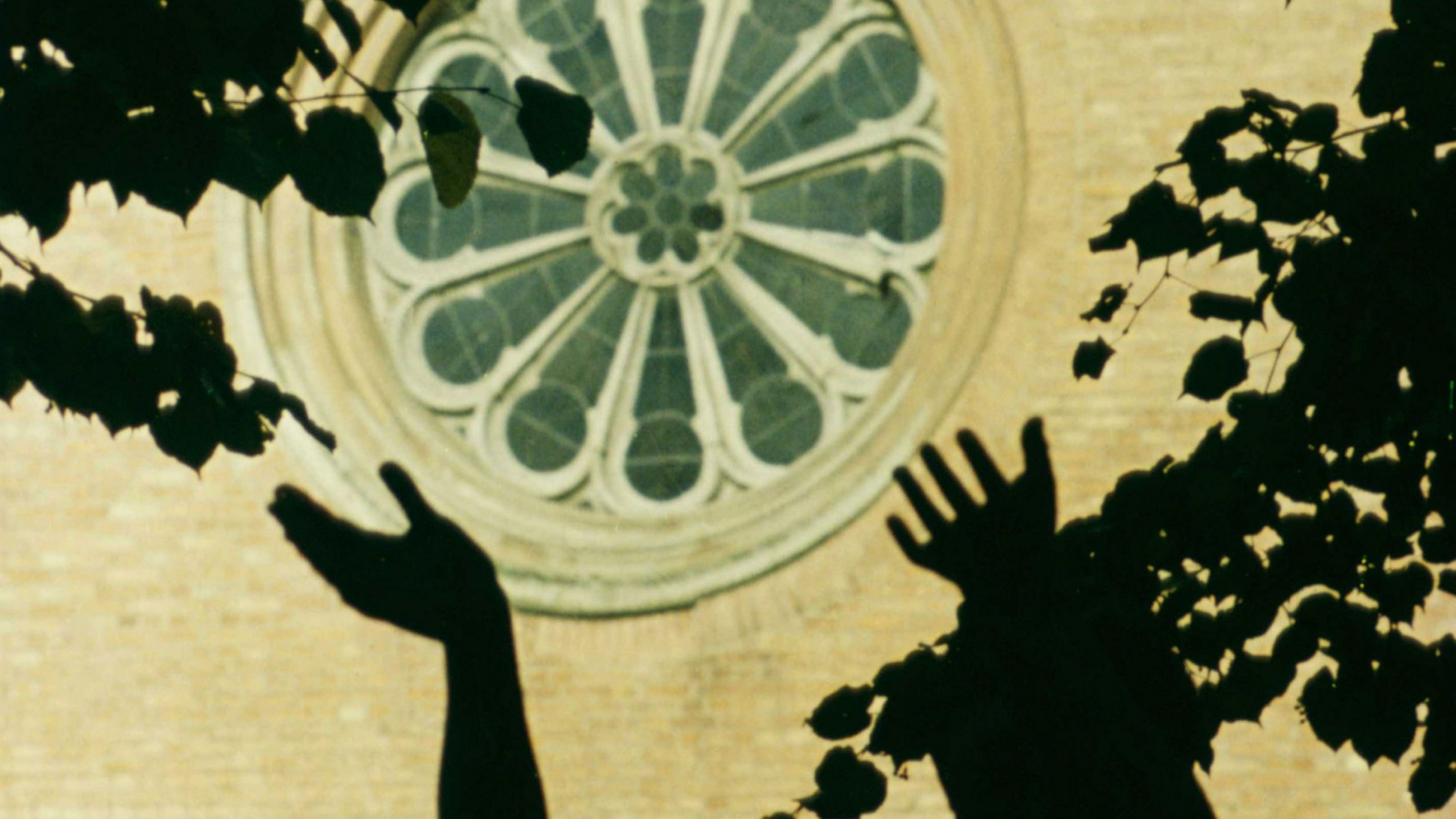 Backdrop for The Sparrow Dream