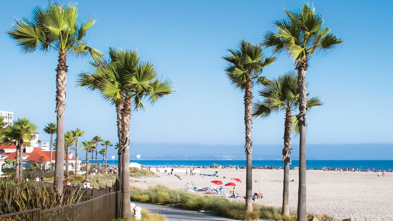 Backdrop for California Dreaming – Der Zukunft einen Schritt voraus