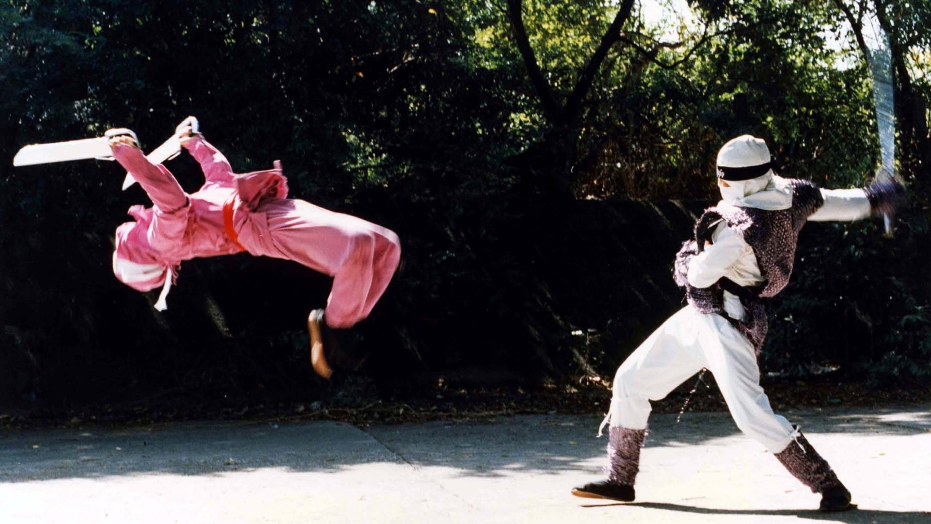 Backdrop for The Ninja Showdown