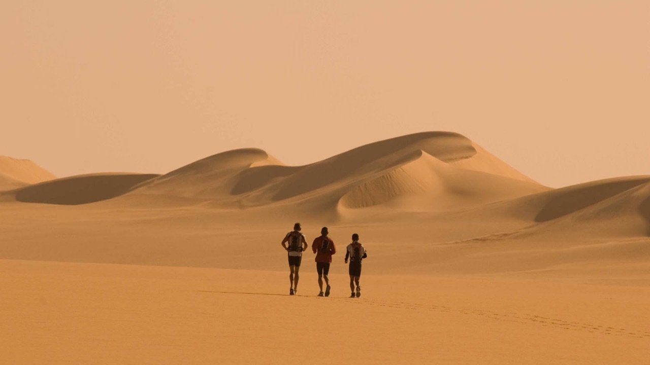 Backdrop for Running the Sahara
