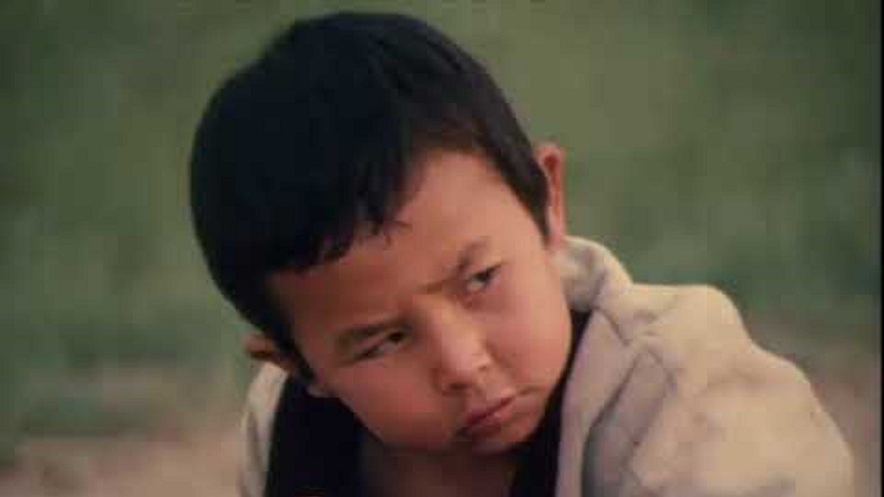 Backdrop for Shok and Sher