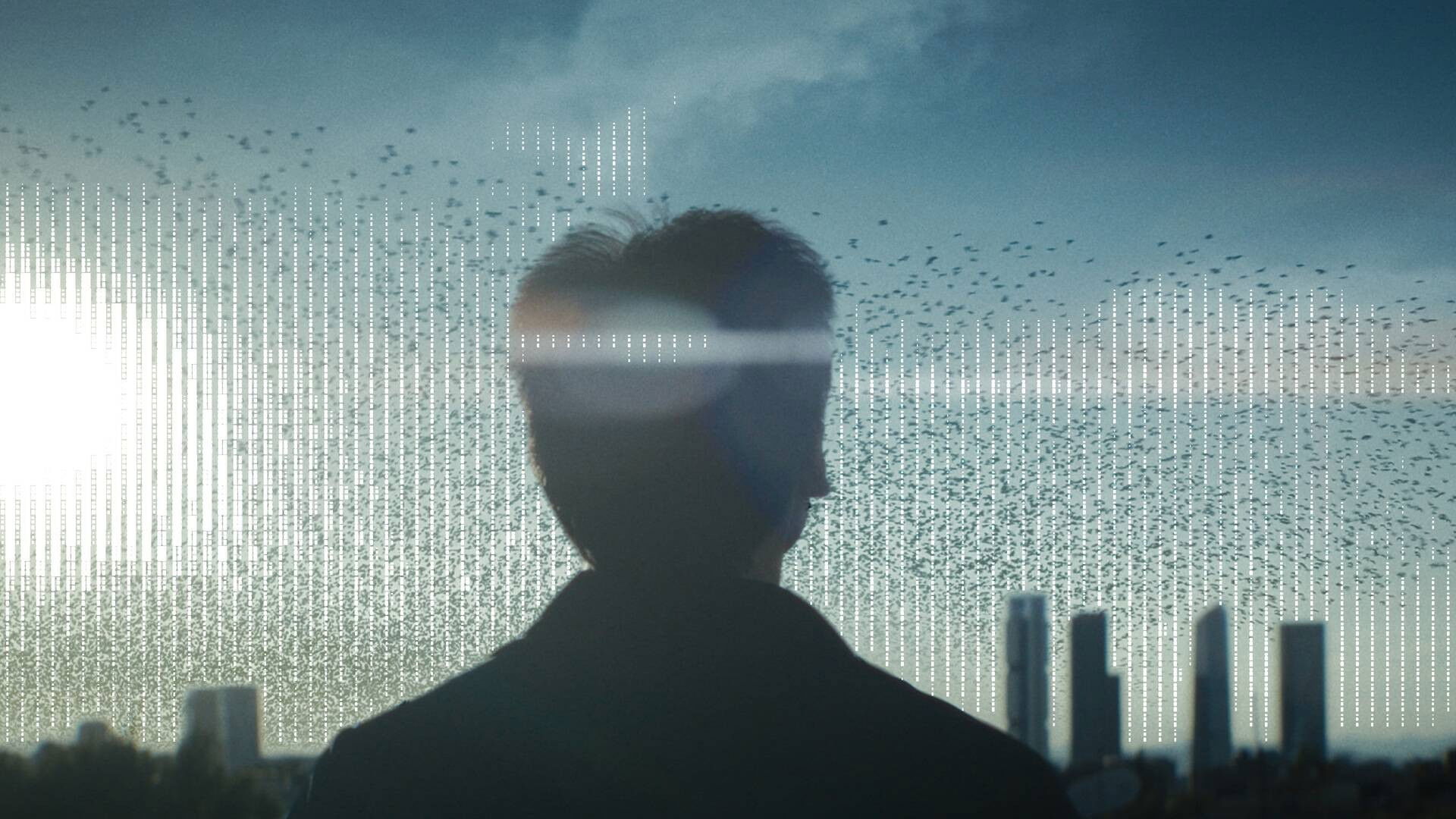 Backdrop for Imaginadores