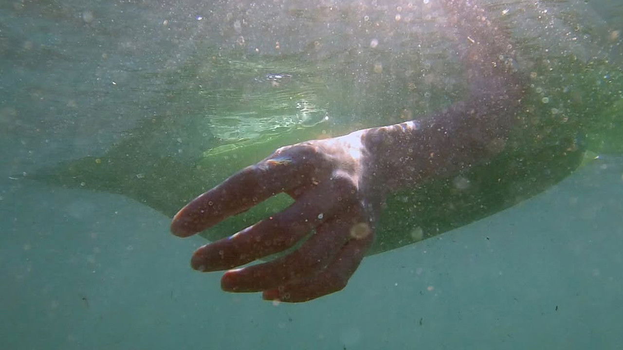 Backdrop for Depredadores sobre el mar