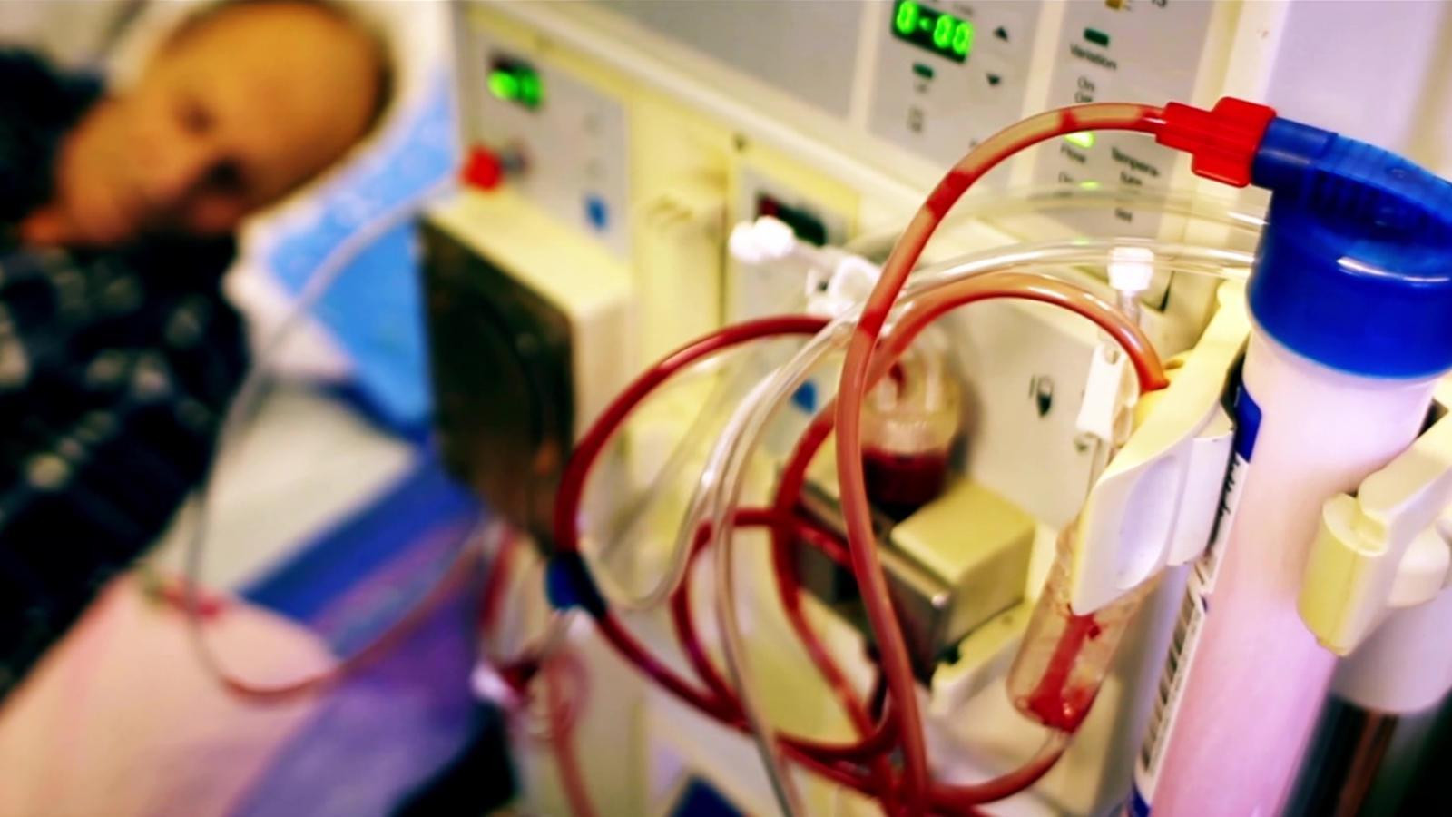 Backdrop for What the Health